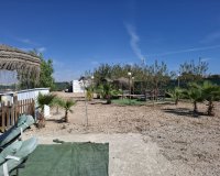 Resale - Plot / Land - Guardamar del Segura