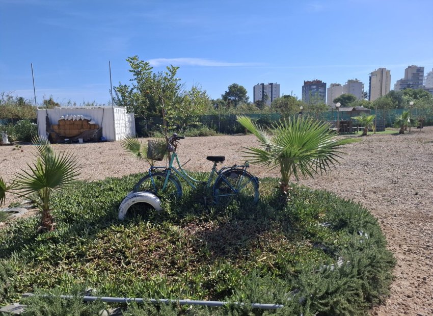 Resale - Plot / Land - Guardamar del Segura