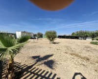 Resale - Plot / Land - Guardamar del Segura