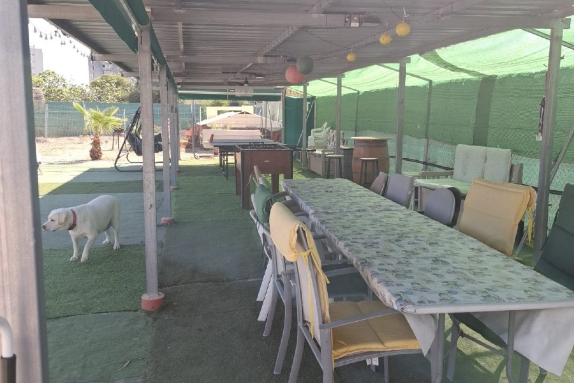 Resale - Plot / Land - Guardamar del Segura