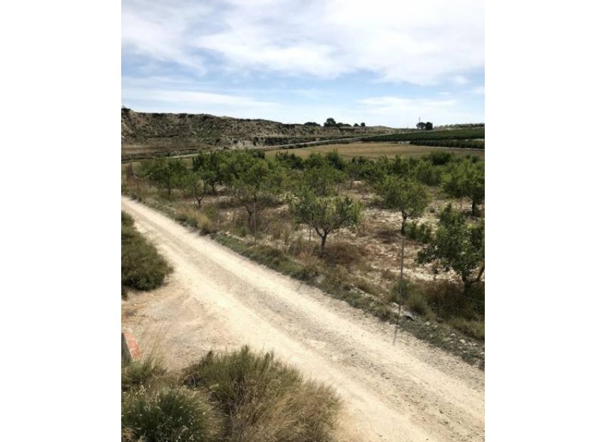 Resale - Plot / Land - Pilar de la Horadada - La Perdiz