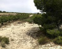 Resale - Plot / Land - Pilar de la Horadada - La Perdiz