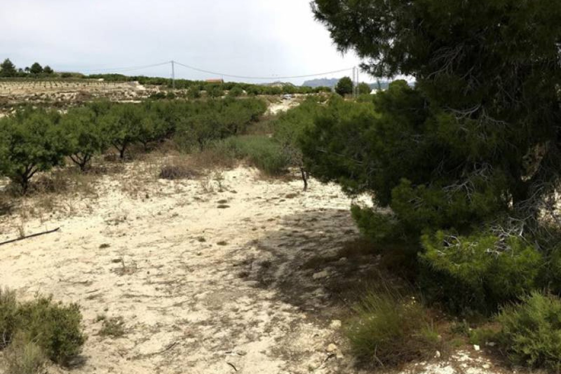 Resale - Plot / Land - Pilar de la Horadada - La Perdiz