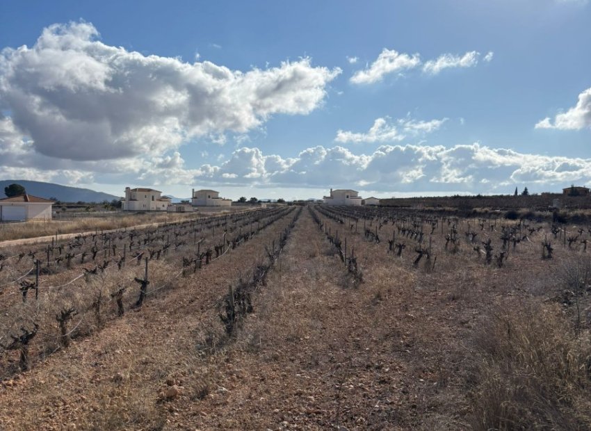 Resale - Plot / Land - Pinoso - el Pinós / Pinoso