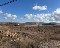 Resale - Plot / Land - Pinoso - el Pinós / Pinoso