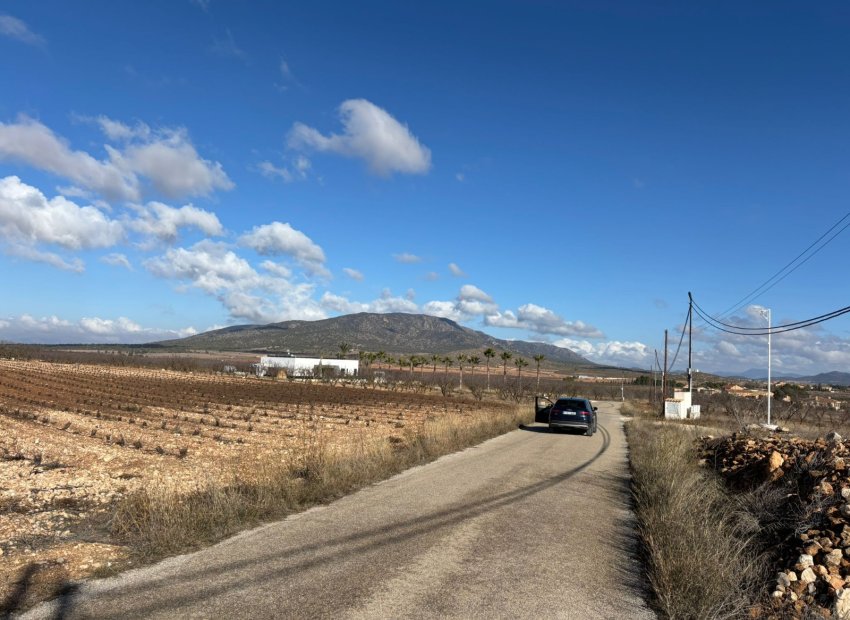 Resale - Plot / Land - Pinoso - el Pinós / Pinoso