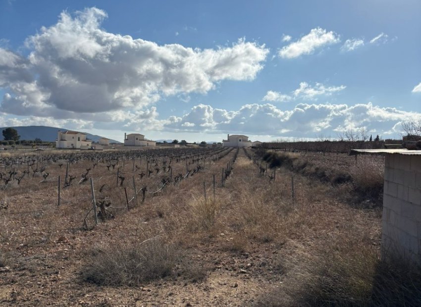 Resale - Plot / Land - Pinoso - el Pinós / Pinoso