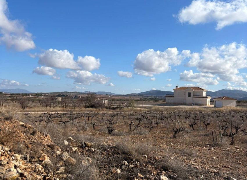 Resale - Plot / Land - Pinoso - el Pinós / Pinoso