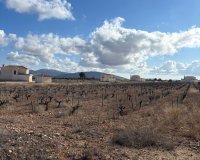 Resale - Plot / Land - Pinoso - el Pinós / Pinoso