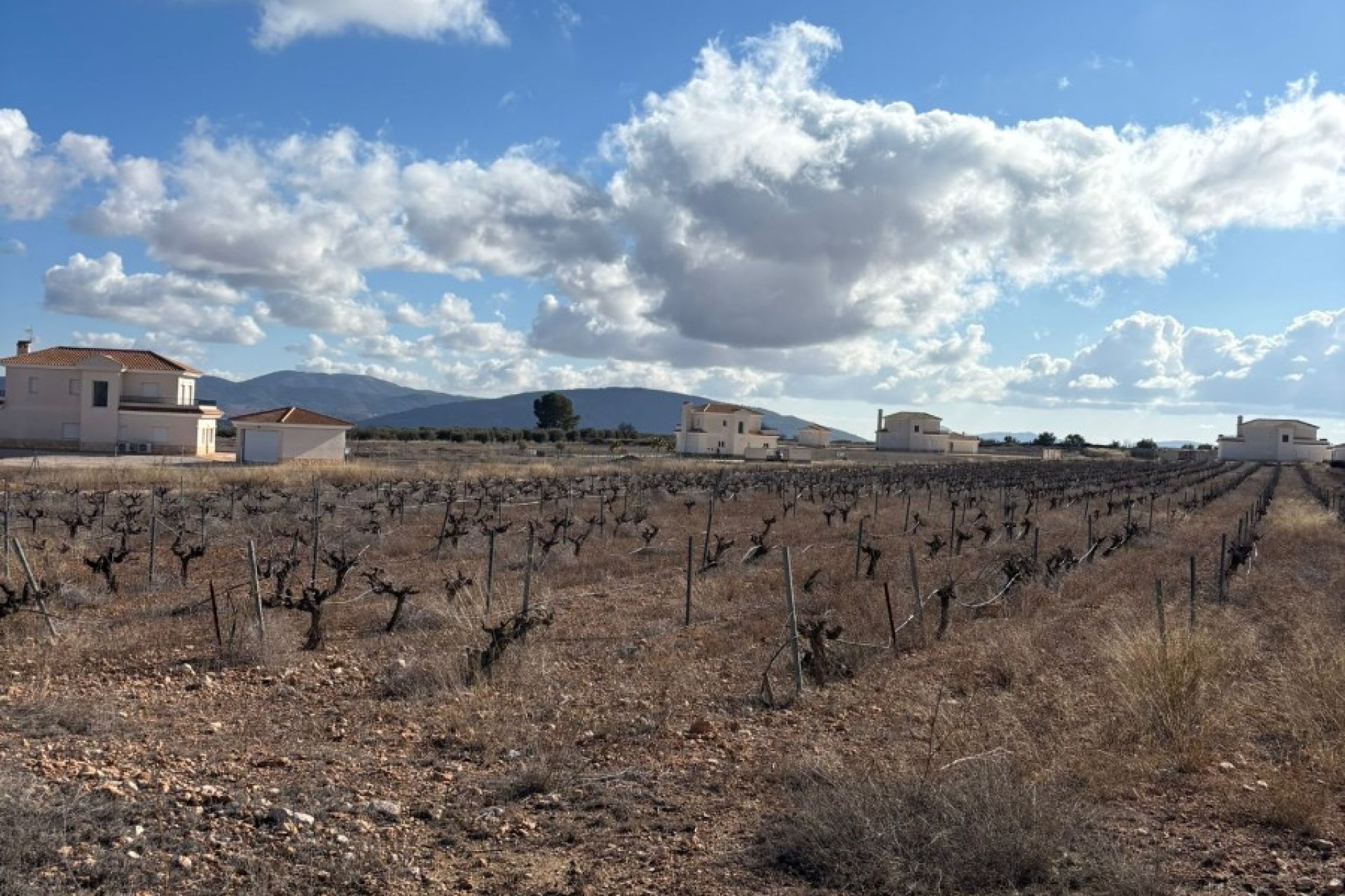 Resale - Plot / Land - Pinoso - el Pinós / Pinoso