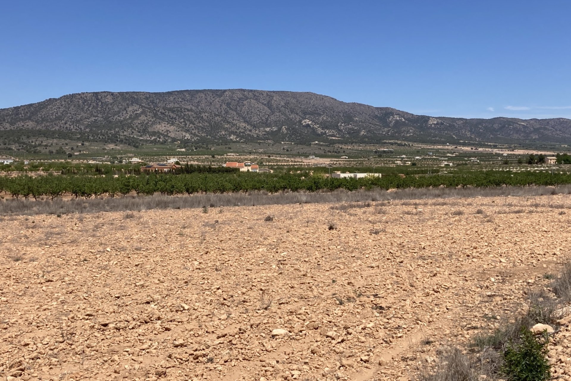 Resale - Plot / Land - Pinoso - Lel