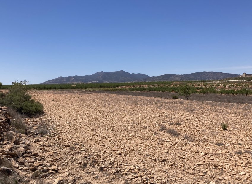 Resale - Plot / Land - Pinoso - Lel