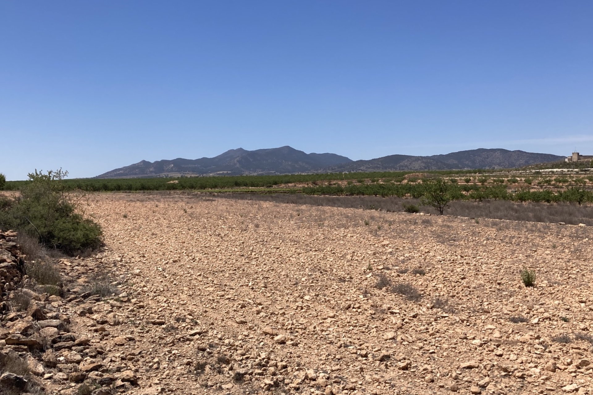 Resale - Plot / Land - Pinoso - Lel