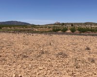 Resale - Plot / Land - Pinoso - Lel