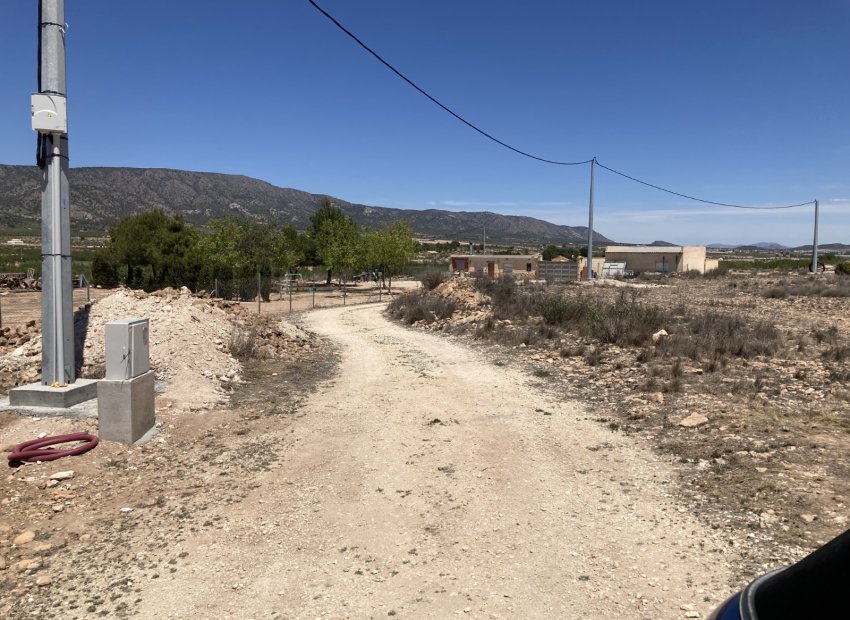 Resale - Plot / Land - Pinoso - Lel