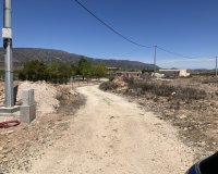 Resale - Plot / Land - Pinoso - Lel