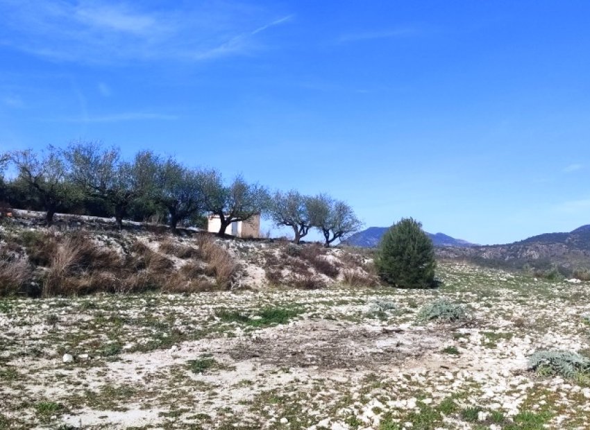 Resale - Plot / Land - Planes