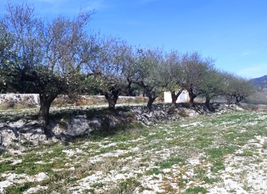 Resale - Plot / Land - Planes