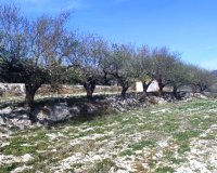 Resale - Plot / Land - Planes