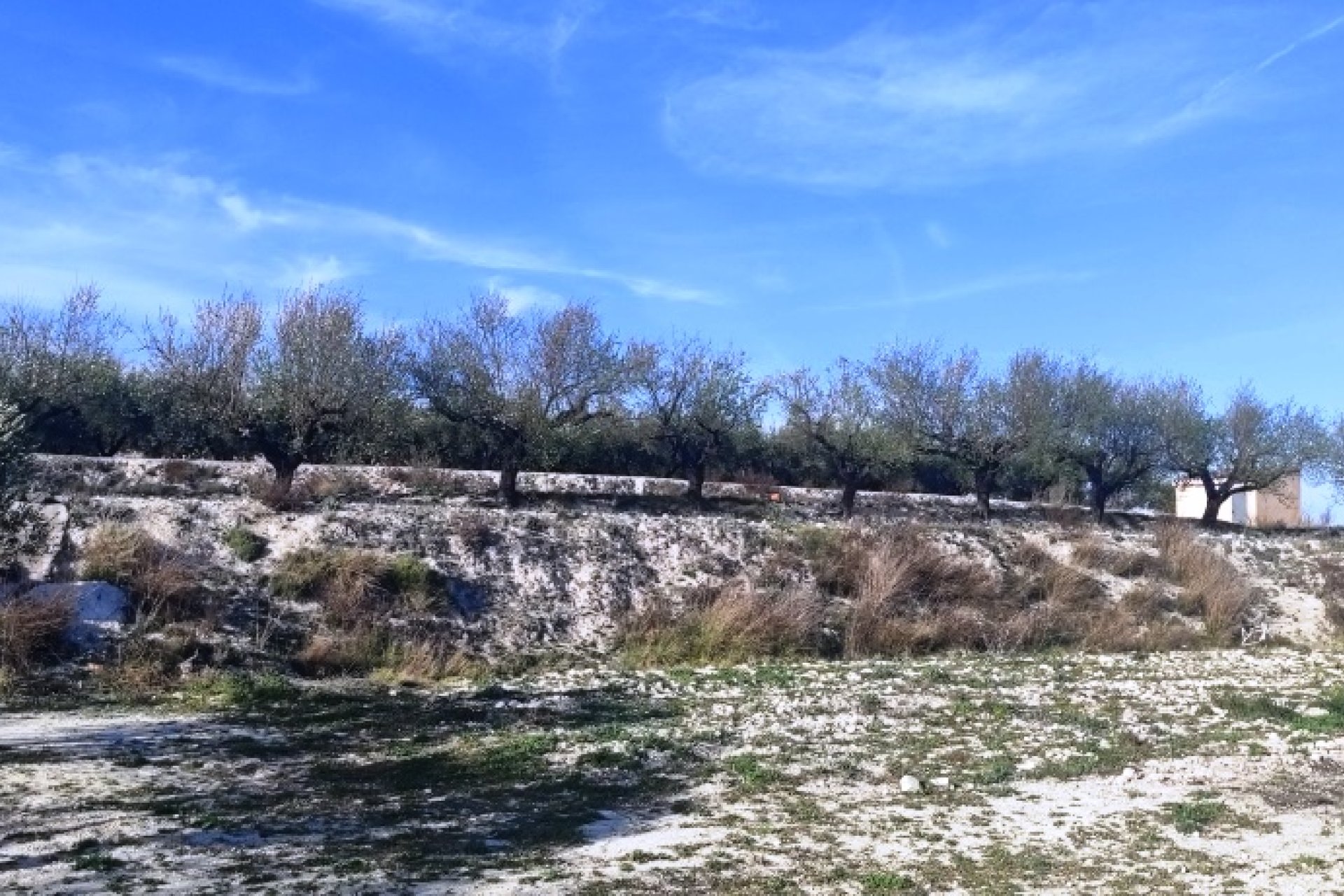 Resale - Plot / Land - Planes