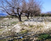 Resale - Plot / Land - Planes