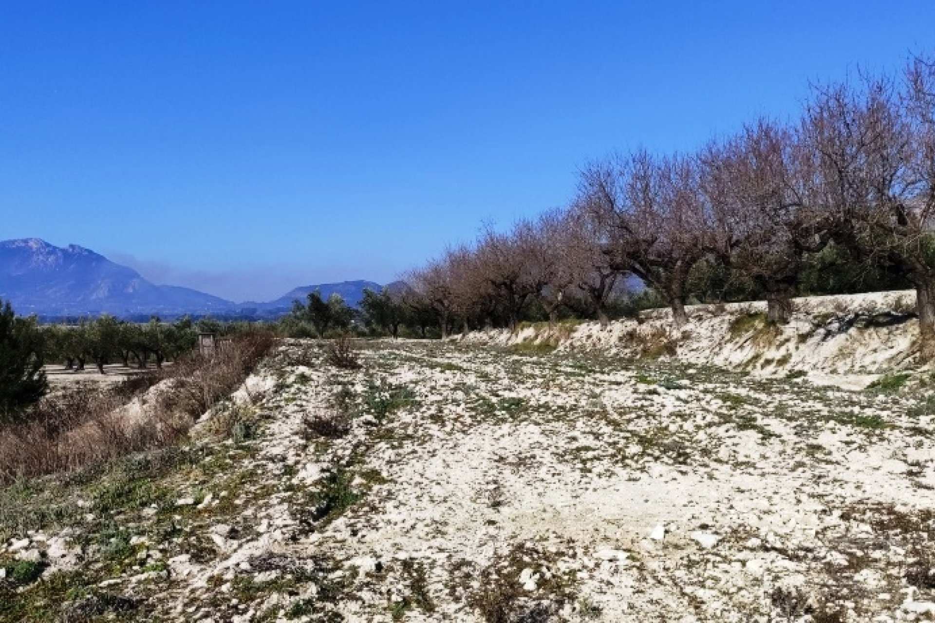 Resale - Plot / Land - Planes