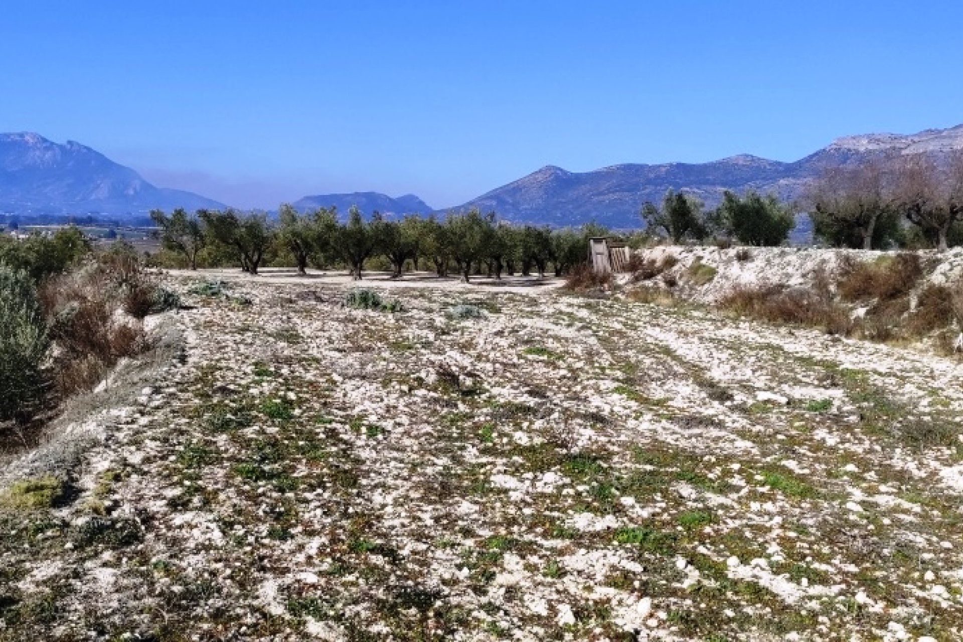 Resale - Plot / Land - Planes