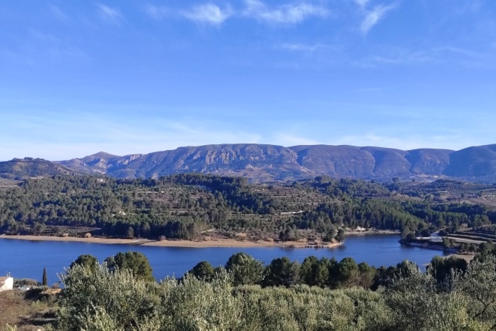 Resale - Plot / Land - Planes