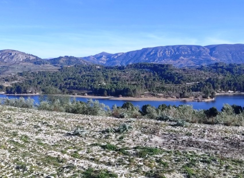 Resale - Plot / Land - Planes