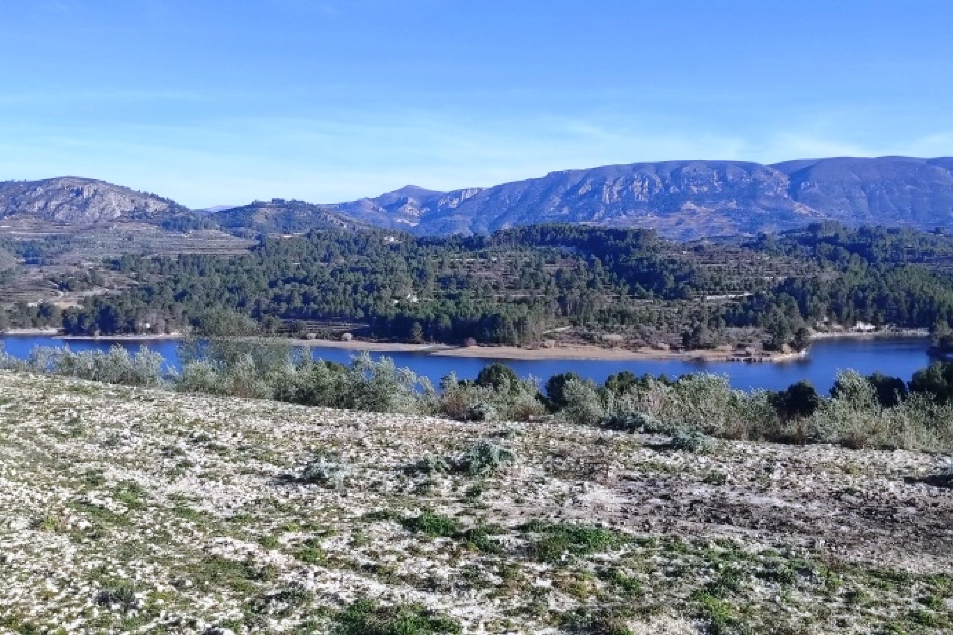 Resale - Plot / Land - Planes