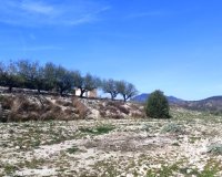 Resale - Plot / Land - Planes