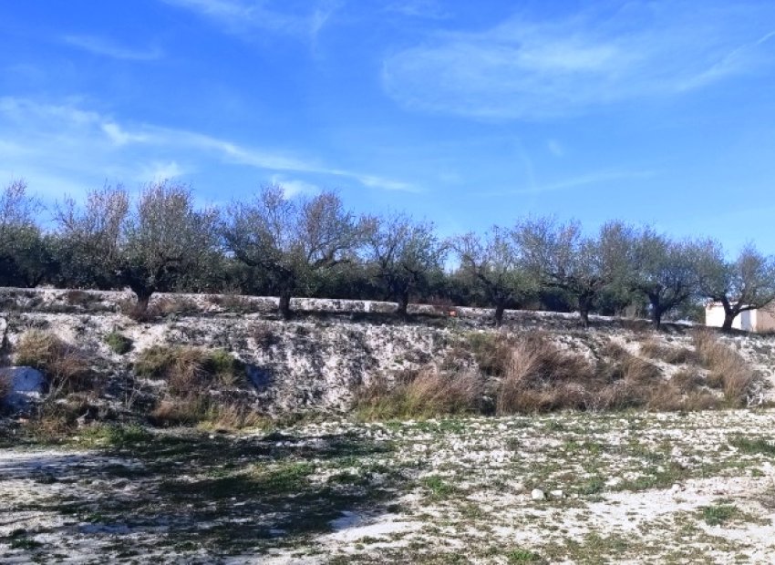 Resale - Plot / Land - Planes