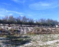 Resale - Plot / Land - Planes