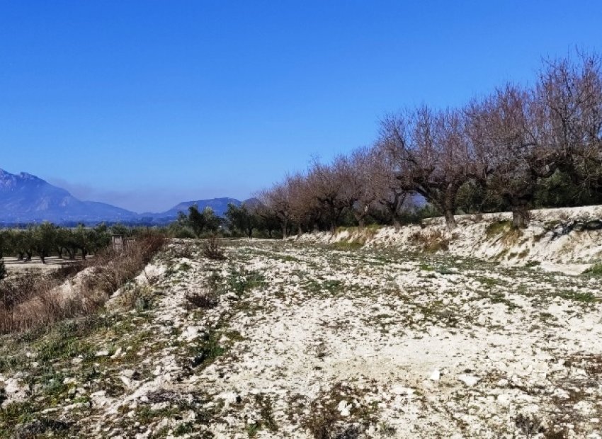 Resale - Plot / Land - Planes