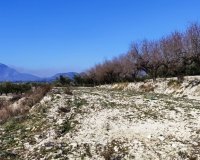 Resale - Plot / Land - Planes