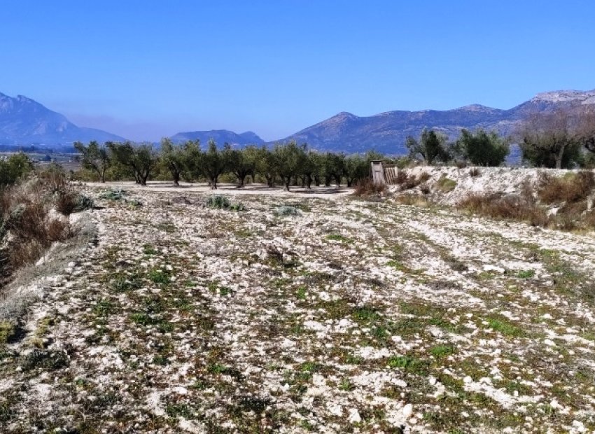 Resale - Plot / Land - Planes