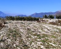 Resale - Plot / Land - Planes