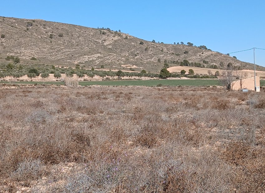 Resale - Plot / Land - Yecla