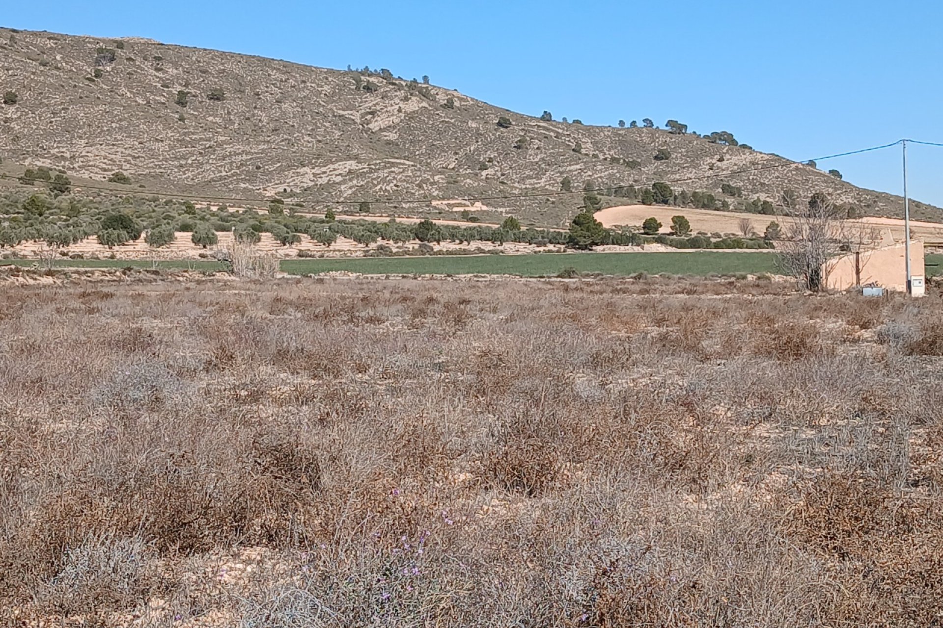 Resale - Plot / Land - Yecla