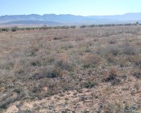 Resale - Plot / Land - Yecla