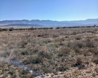 Resale - Plot / Land - Yecla