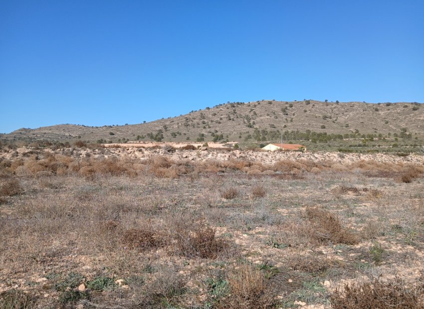 Resale - Plot / Land - Yecla