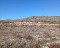 Resale - Plot / Land - Yecla
