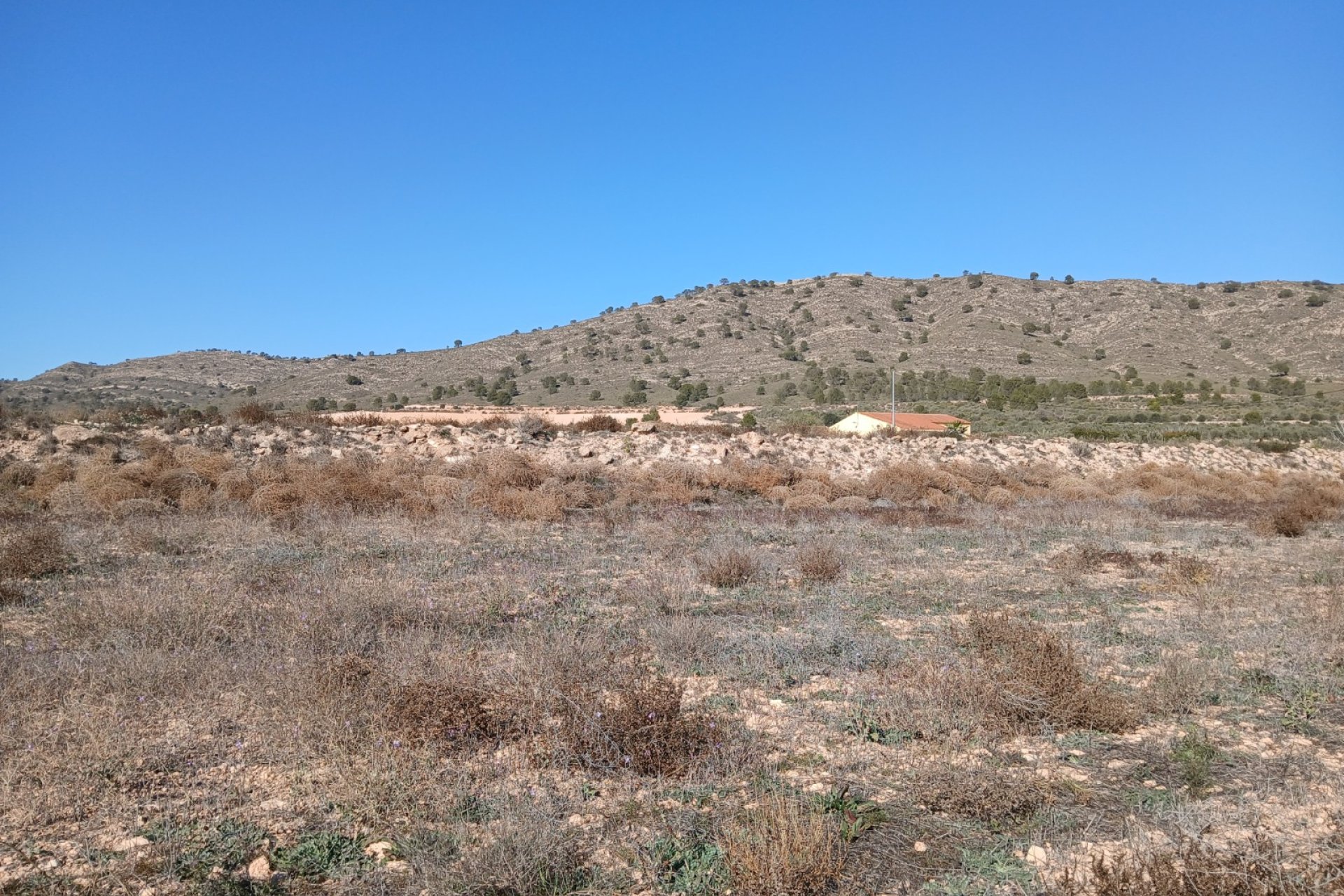 Resale - Plot / Land - Yecla