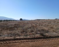 Resale - Plot / Land - Yecla