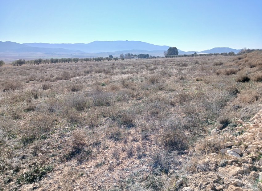 Resale - Plot / Land - Yecla