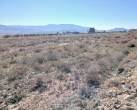 Resale - Plot / Land - Yecla