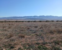 Resale - Plot / Land - Yecla