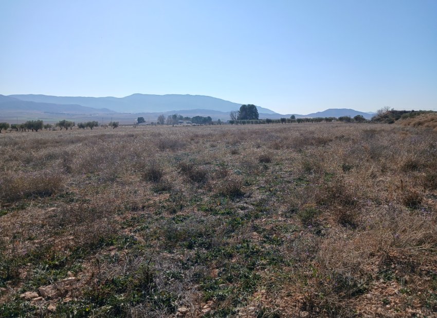 Resale - Plot / Land - Yecla
