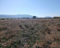 Resale - Plot / Land - Yecla